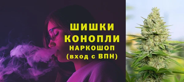 стафф Кулебаки